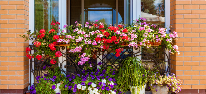 Tips for Beautifying the Front of Your Home