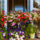 Tips for Beautifying the Front of Your Home